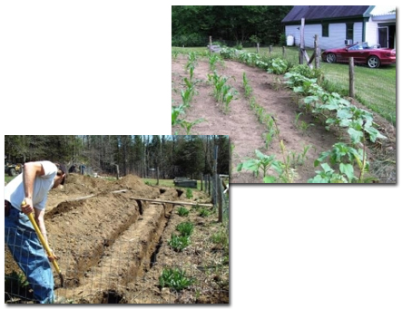 Garden images - Digging ditches in the garden
         for radiant heat tubes, an early summer garden