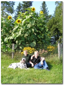Justin & DJ sitting in front of sunflower garden
